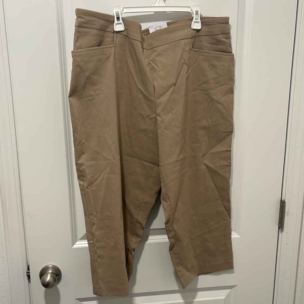 Time and Tru Tan Chinos with Relaxed Fit